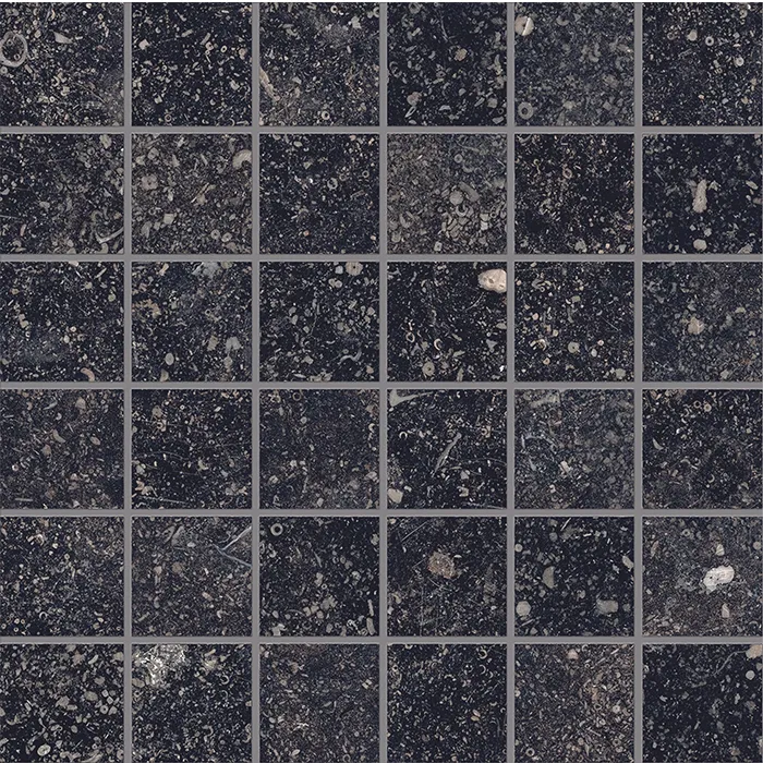 Unique Bleu Mosaico Anthracite Noble Naturale 50x50